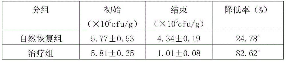 Licorice plant beverage and preparation method thereof