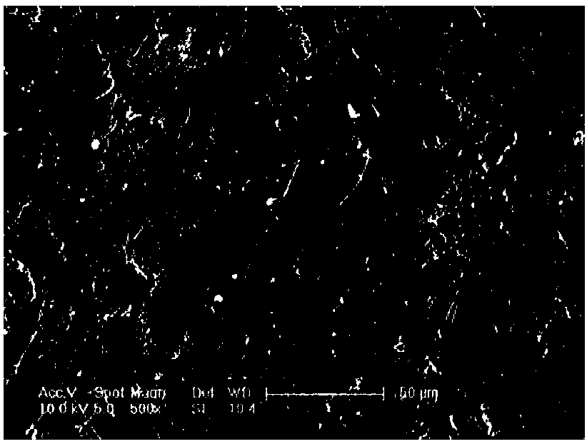 Tantalum boride bio-coating, and production method and application thereof