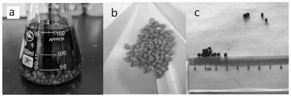 Millimeter-scale nitrogen-doped porous carbon sphere as well as preparation and application thereof