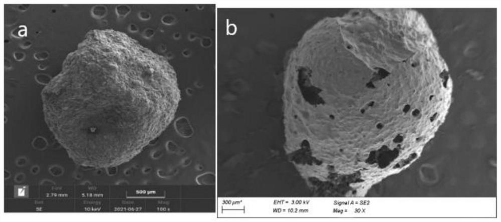 Millimeter-scale nitrogen-doped porous carbon sphere as well as preparation and application thereof