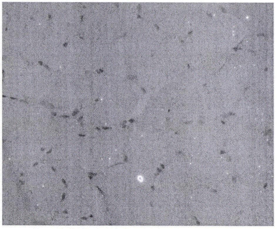 Hematoxylin-eosin mixed staining solution