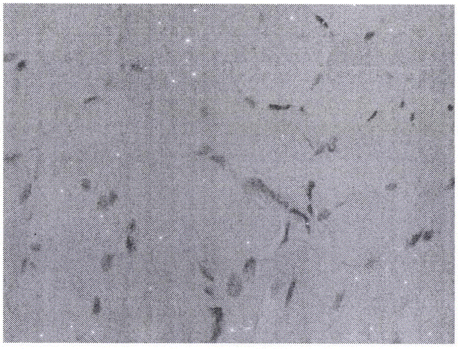 Hematoxylin-eosin mixed staining solution