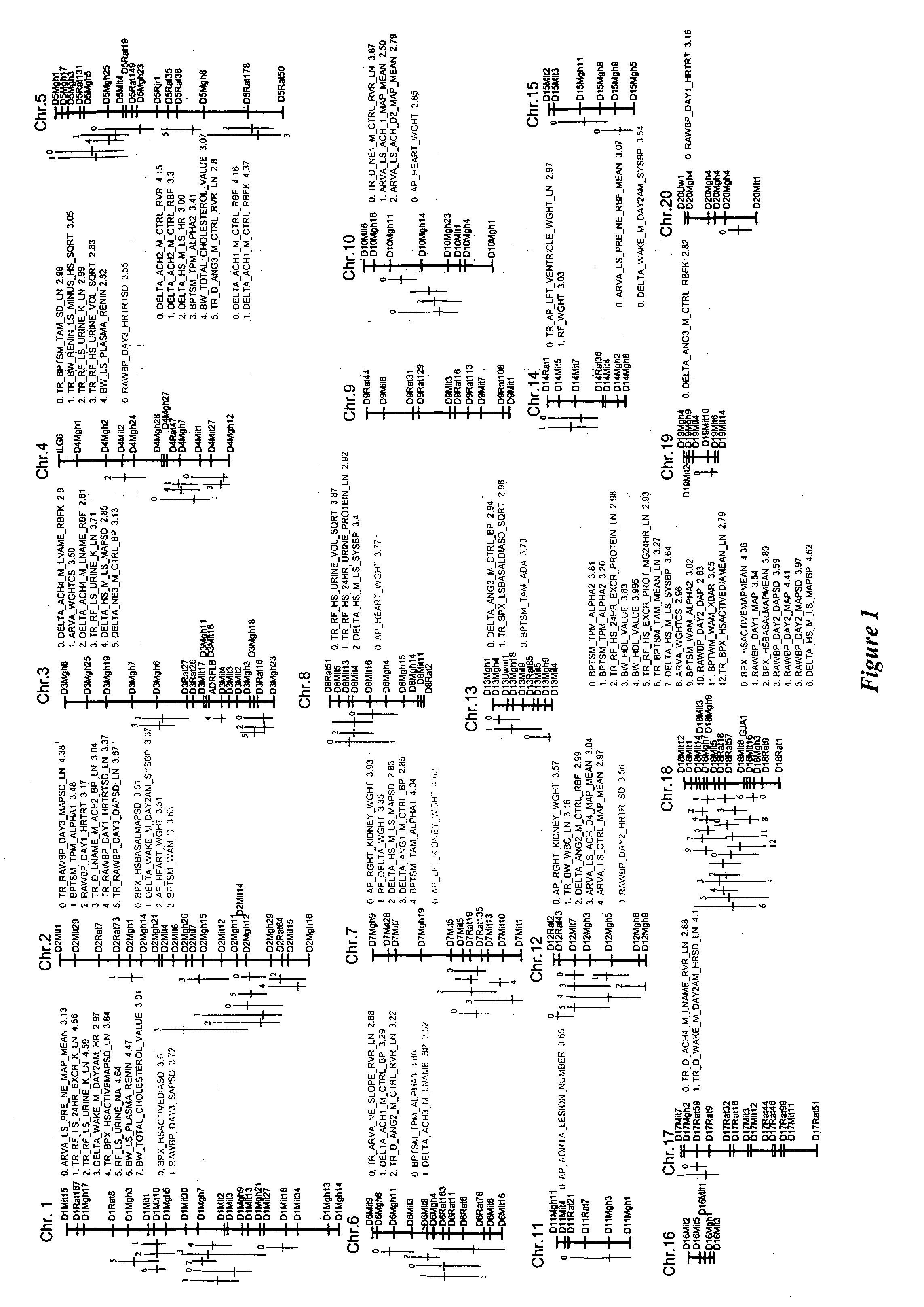 Physiological profiling