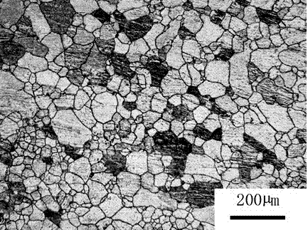 Magnesium alloy grain refiner and grain refined magnesium alloy and preparation method of thereof