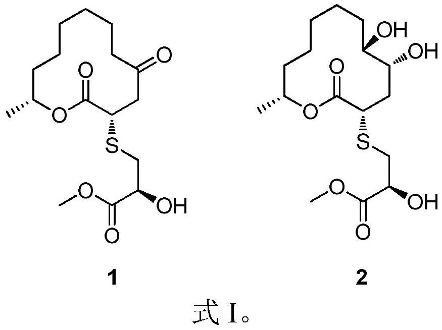 A kind of thiomacrolide compound and its preparation method and anti-aquaculture disease fungus activity application