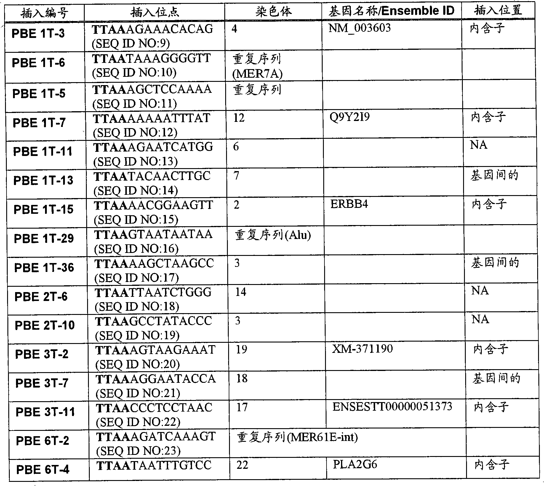 PiggyBac used as genetic operation and analysis tool of vertebrate