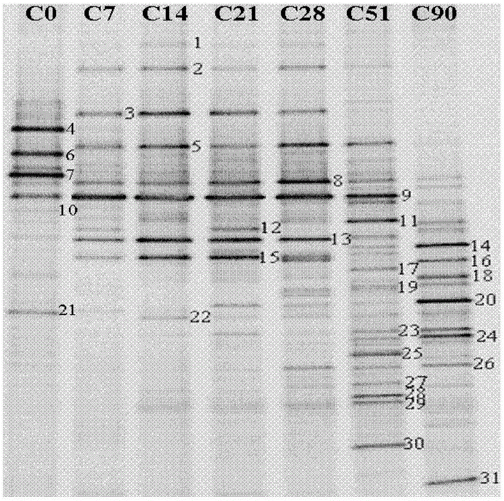 Regulation method for humification parameter in composting water-soluble organic matter