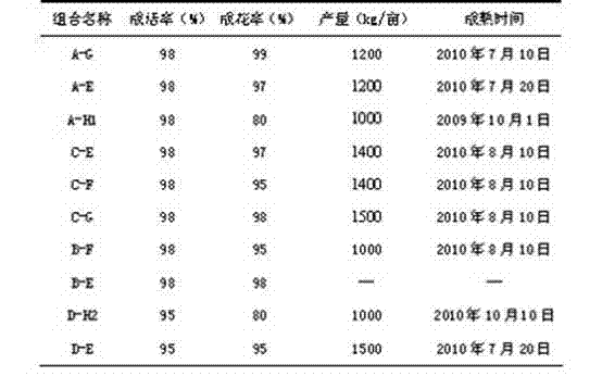 Facility grape flowering branch grafting method