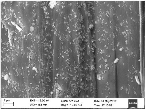 Method for preparing saponite crystals under hydrothermal conditions