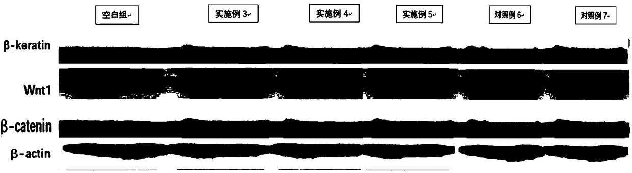 Stem cell extract product medical dressing, and preparation method thereof