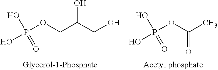 Use of phosphoketolase and phosphotransacetylase for production of acetyl-coenzyme a derived compounds