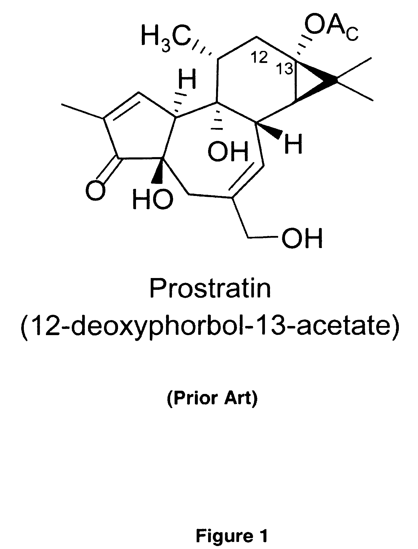 Process to produce prostratin and structural or functional analogs thereof