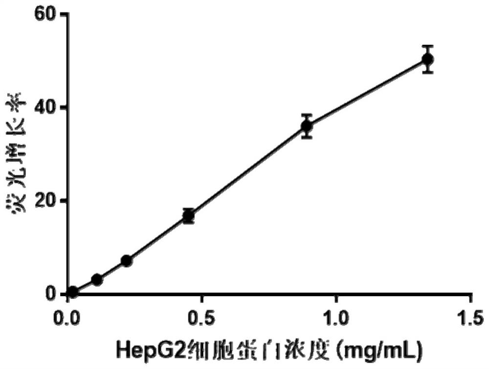 A kind of polypeptide for ptp1b detection and fluorescent probe comprising the polypeptide