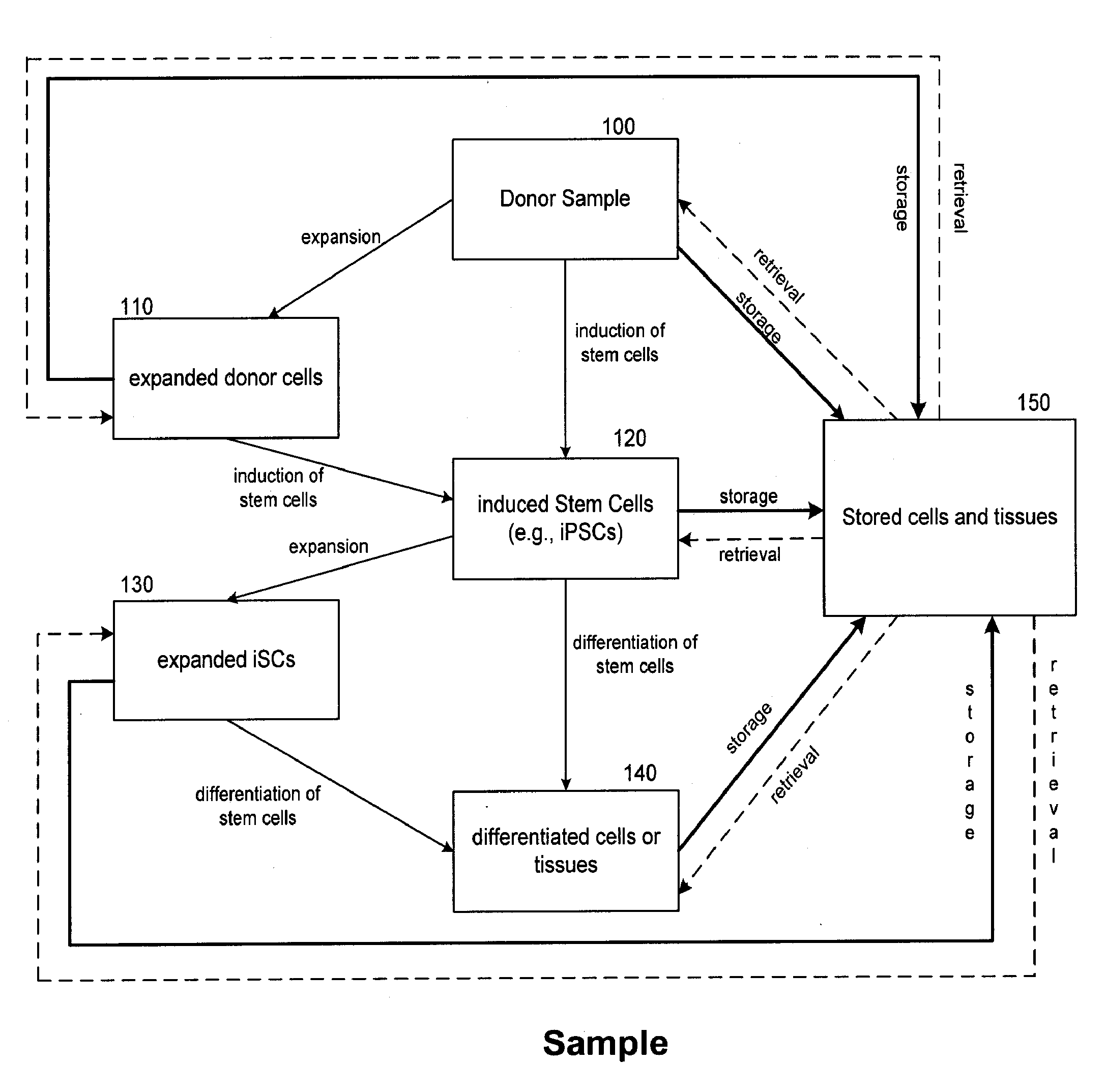 Methods of cell-based technologies