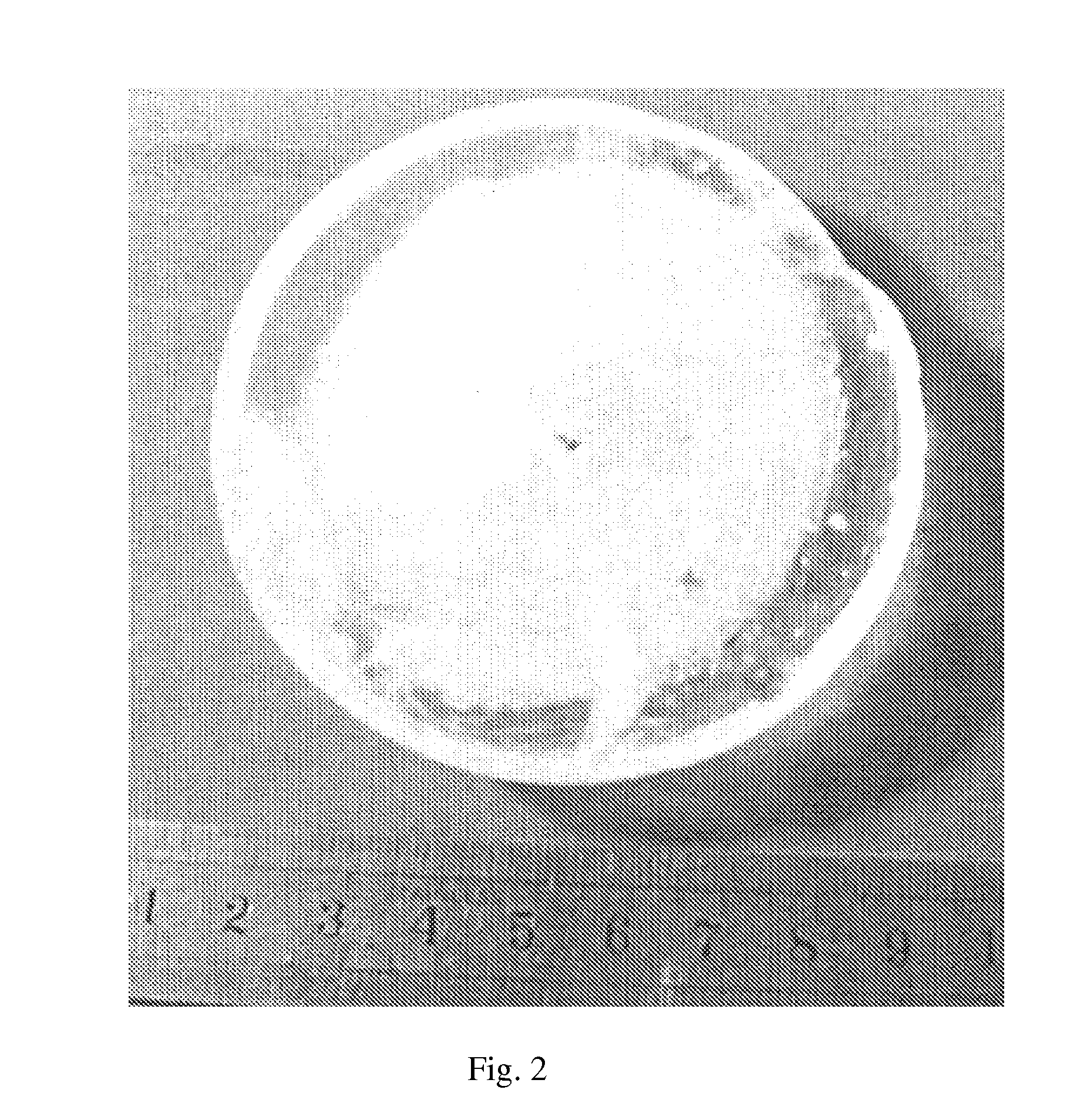 Doped low-temperature phase barium metaborate single crystal, the manufacturing method thereof and wave changing elements therefrom