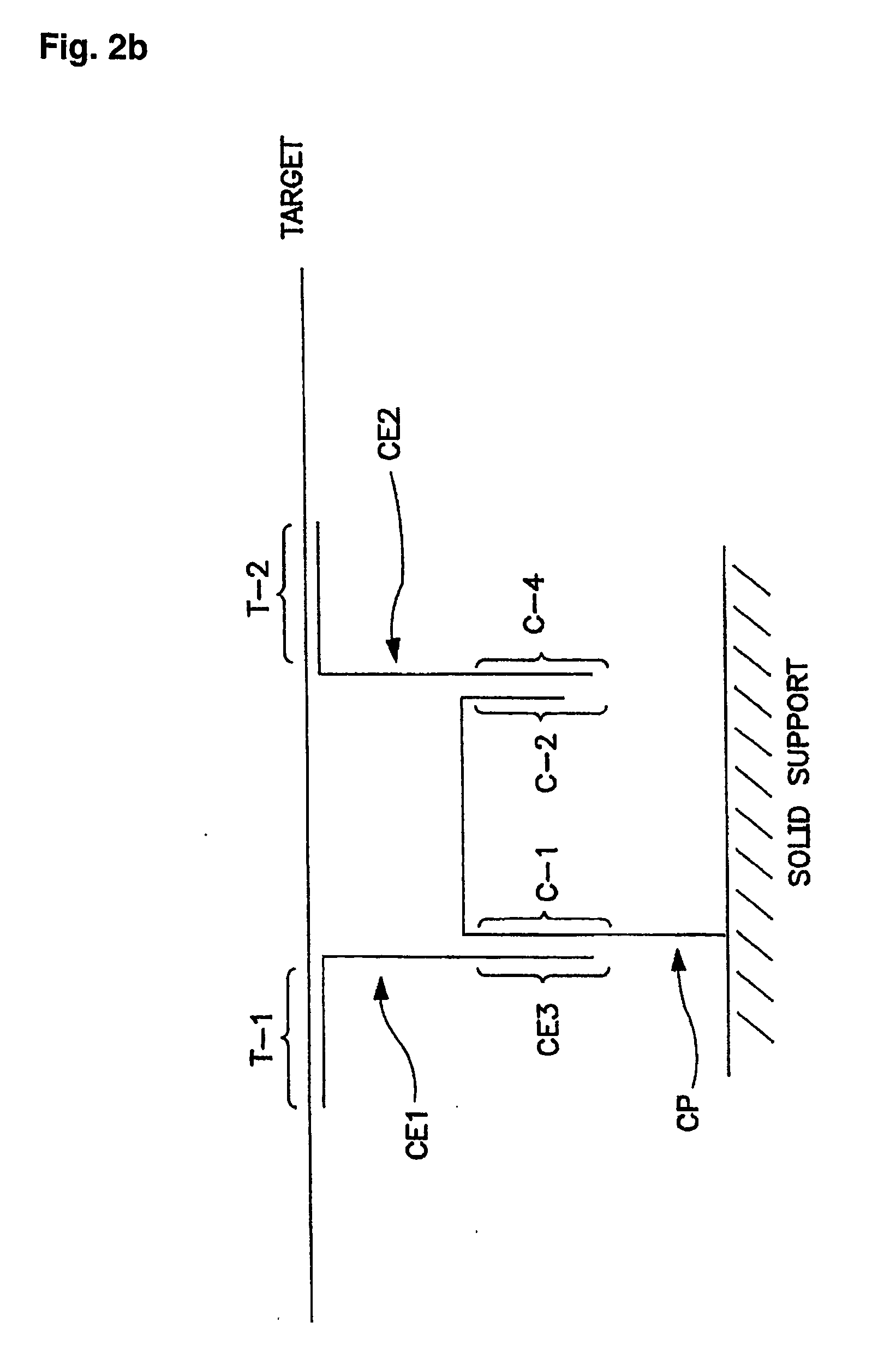 Method and a kit for determination of a microbial count