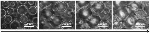 Three dimensional graphene oxide foamed material preparation method through natural drying of solution