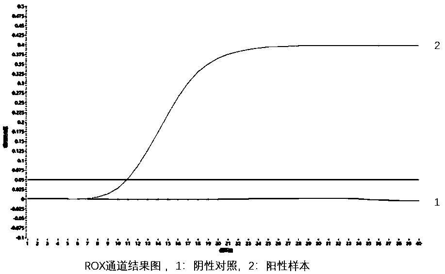 RDA (Recombinase-dependent amplification) method and kit for quickly detecting Coxsachie virus 16 and enterovirus 71