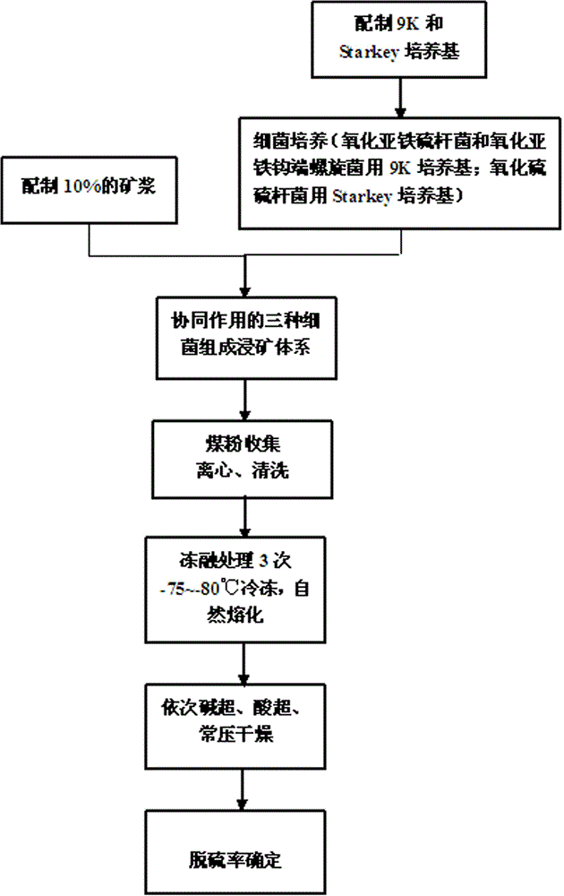 Desulphurization method of coal dust via biological oxidation