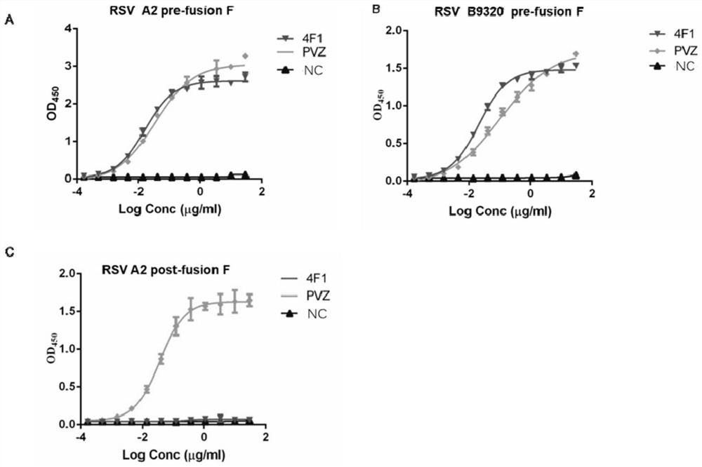 Anti-respiratory syncytial virus fully human broad-spectrum neutralizing antibody 4F1 and application thereof