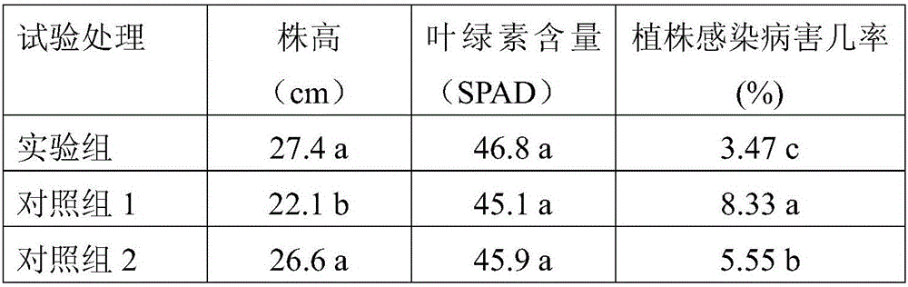 Biological fertilizer used for tomato, and preparation method and application method thereof