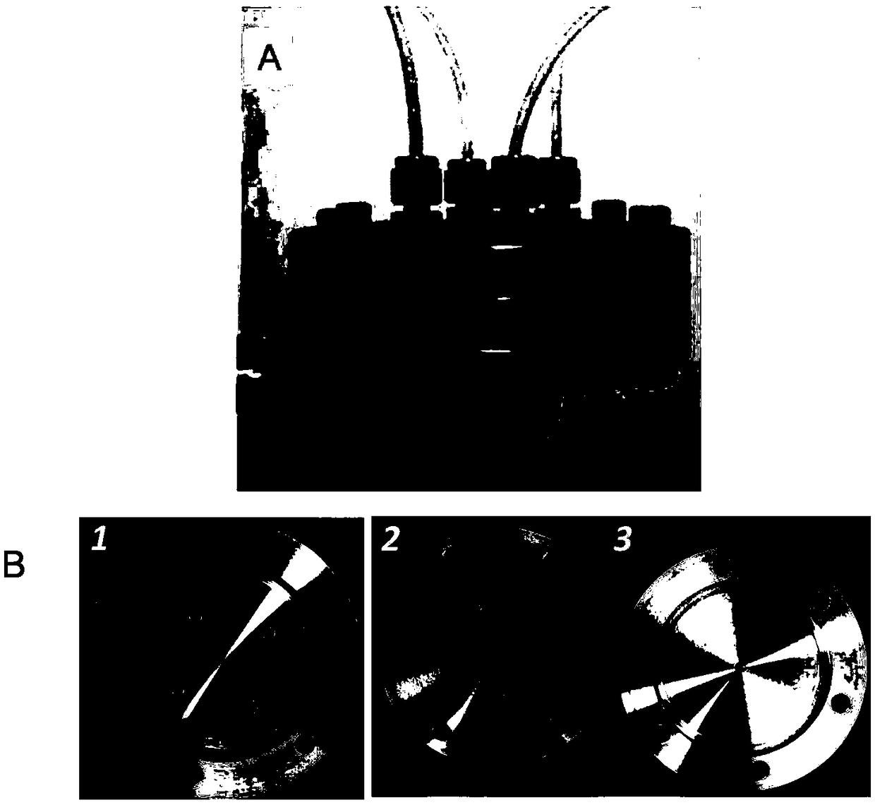 Therapeutic protein-loaded nanoparticle and method for preparing the same