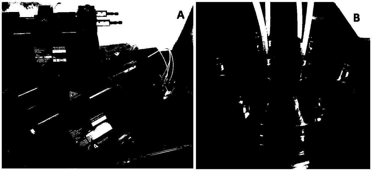 Therapeutic protein-loaded nanoparticle and method for preparing the same