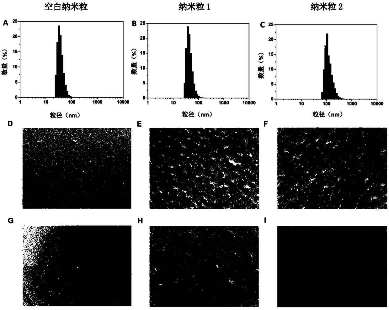 Therapeutic protein-loaded nanoparticle and method for preparing the same