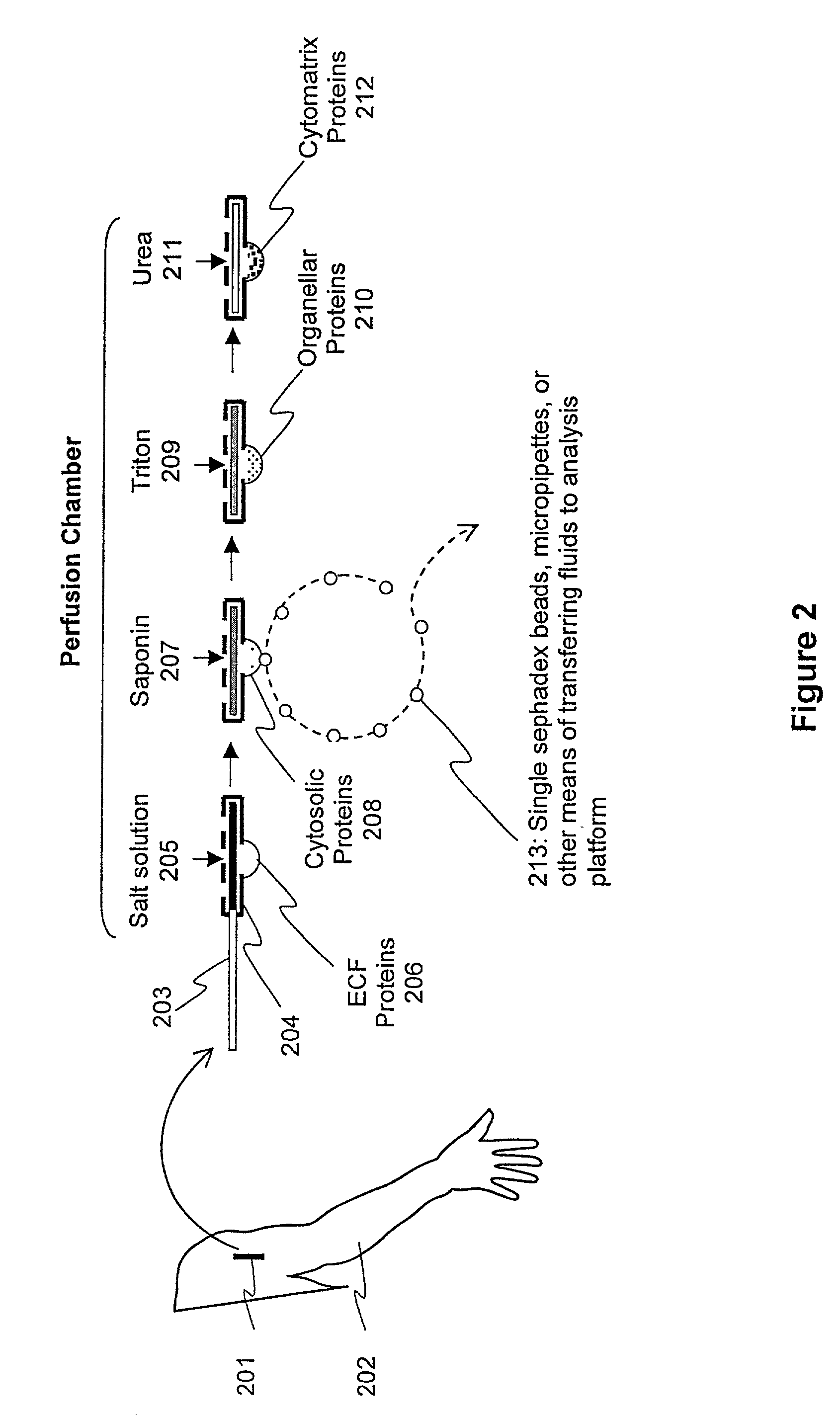 Protein fractionation