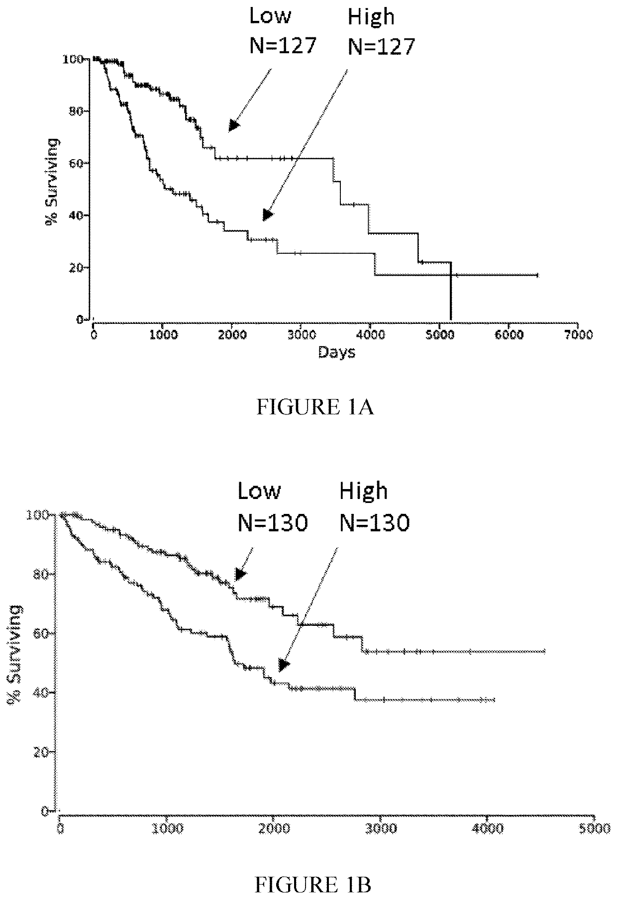 Antibodies specific to human nectin-2