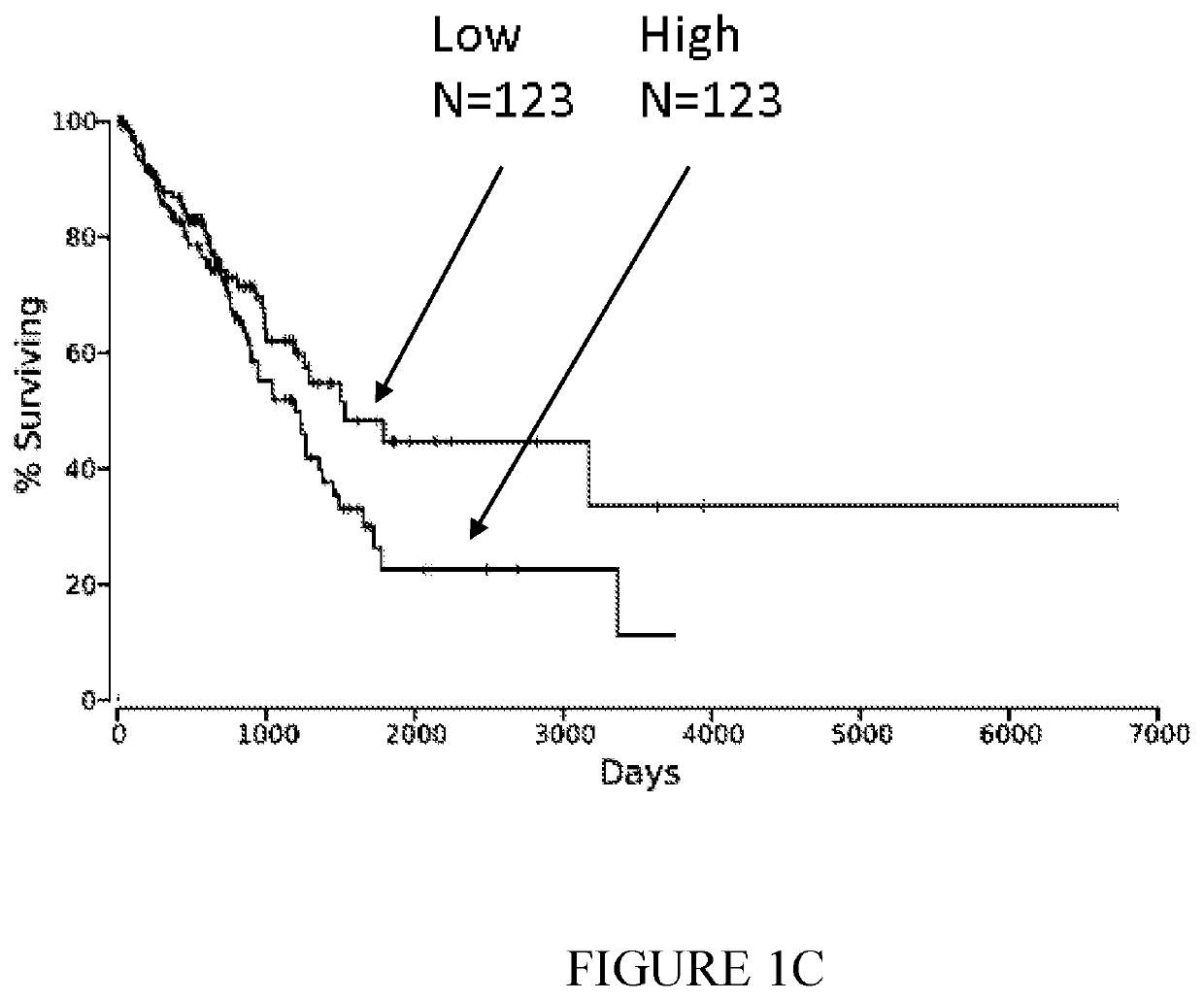 Antibodies specific to human nectin-2