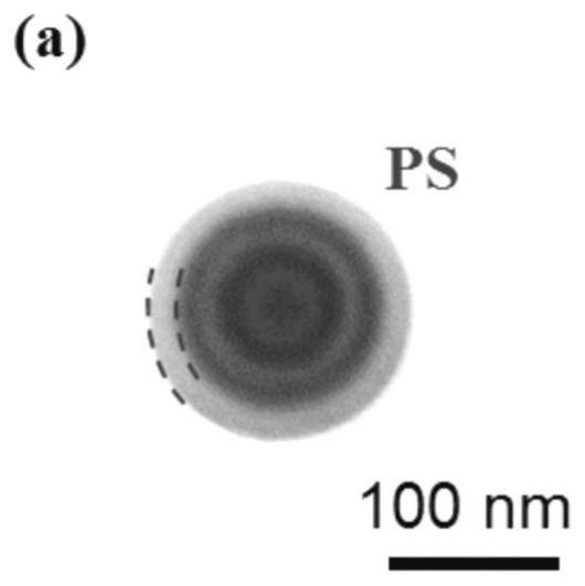 Polymer material with light-regulated reversible shape transformation and its preparation method and application