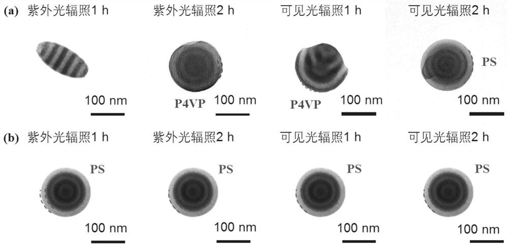 Polymer material with light-regulated reversible shape transformation and its preparation method and application