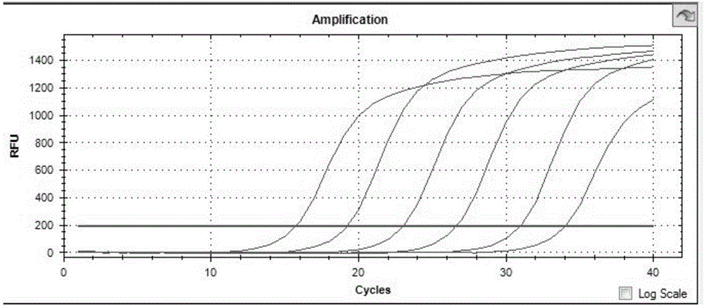 Nucleic acid combination for detecting Fusobacterium nucleatum in night soil, and applications and kits thereof