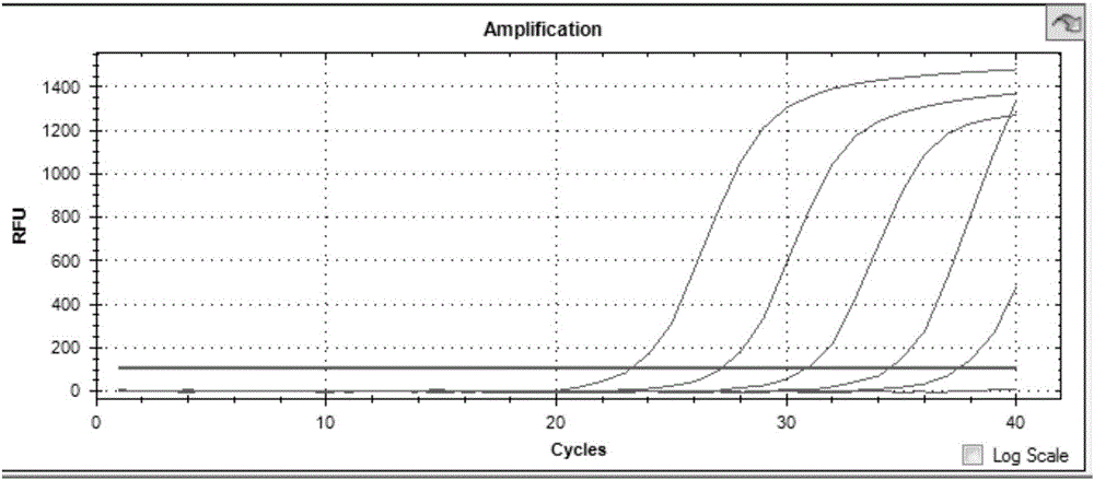 Nucleic acid combination for detecting Fusobacterium nucleatum in night soil, and applications and kits thereof