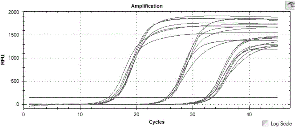 Nucleic acid combination for detecting Fusobacterium nucleatum in night soil, and applications and kits thereof