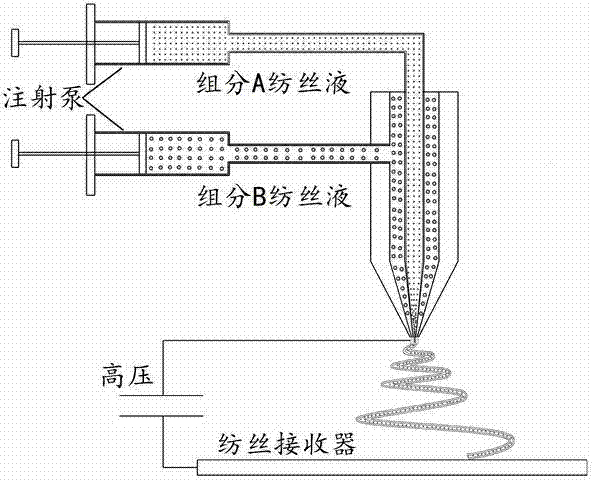 Low-temperature solid oxide fuel cell cathode in core-shell nano fiber structure and electrostatic spinning preparation method thereof