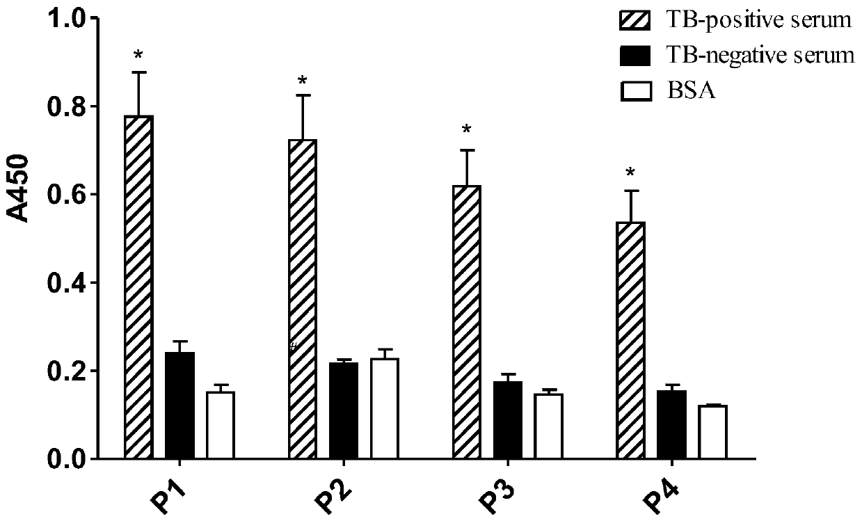 Application of mycobacterium tuberculosis protein