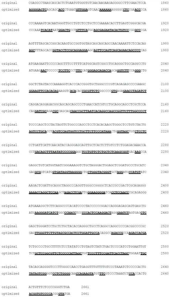 AGBL5 nucleotide sequence for encoding cytoplasm carboxypeptidase protein 5 and application of AGBL5 nucleotide sequence