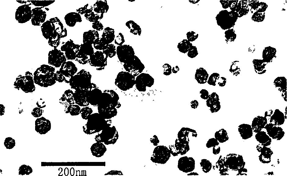 Electro-optical polarized polymer containing nano ferroelectric crystals, and preparation method