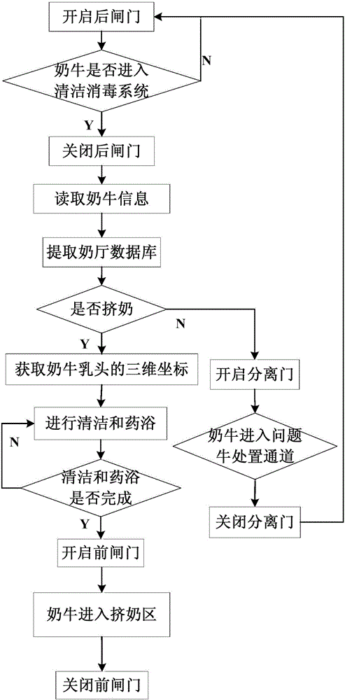 Automatic cleaning and disinfecting system and cleaning and disinfecting method for milk cows