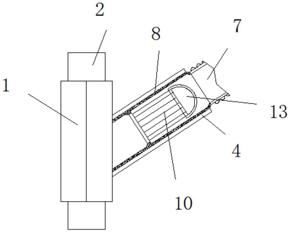 A water circulation filter device capable of automatically cleaning impurities