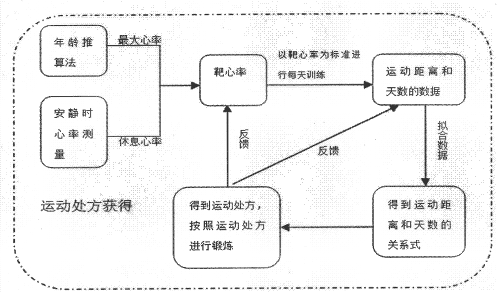 Fitness auxiliary system combined with adaptive exercise prescription