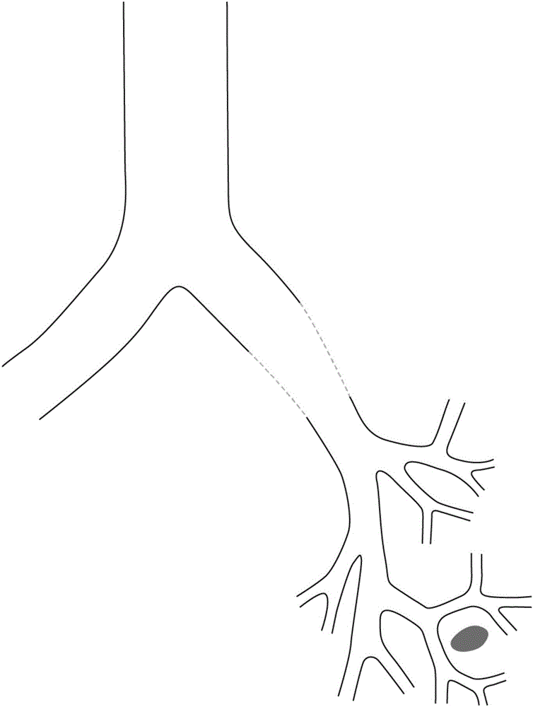 Medical treatment path navigation method and system