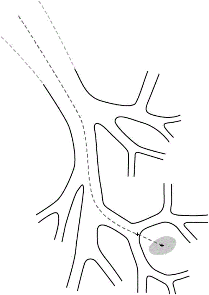 Medical treatment path navigation method and system