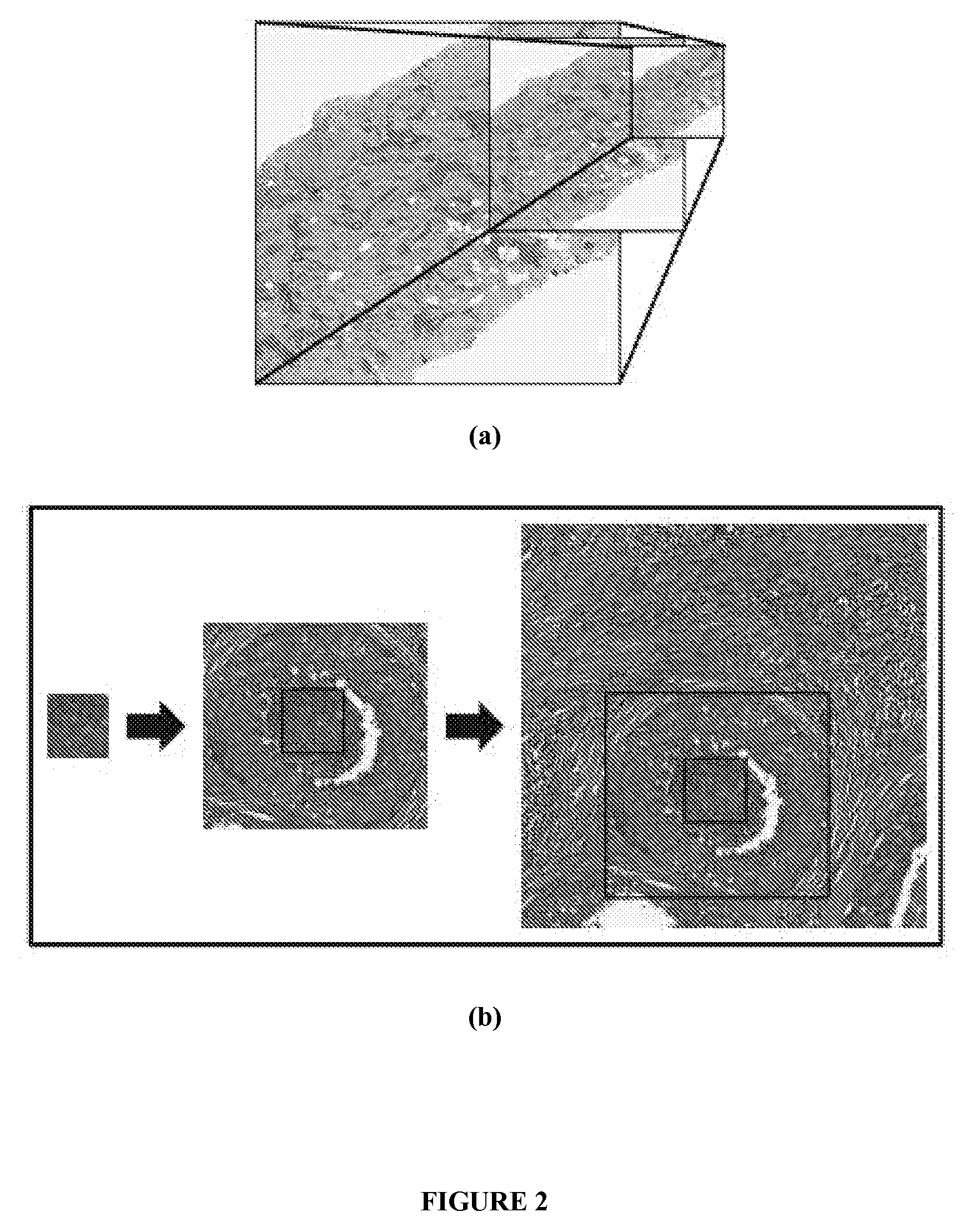 Boosted consensus classifier for large images using fields of view of various sizes