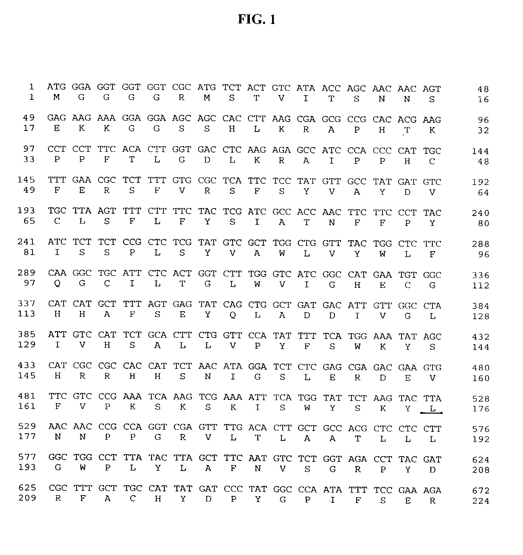 Isoform of castor oleate hydroxylase