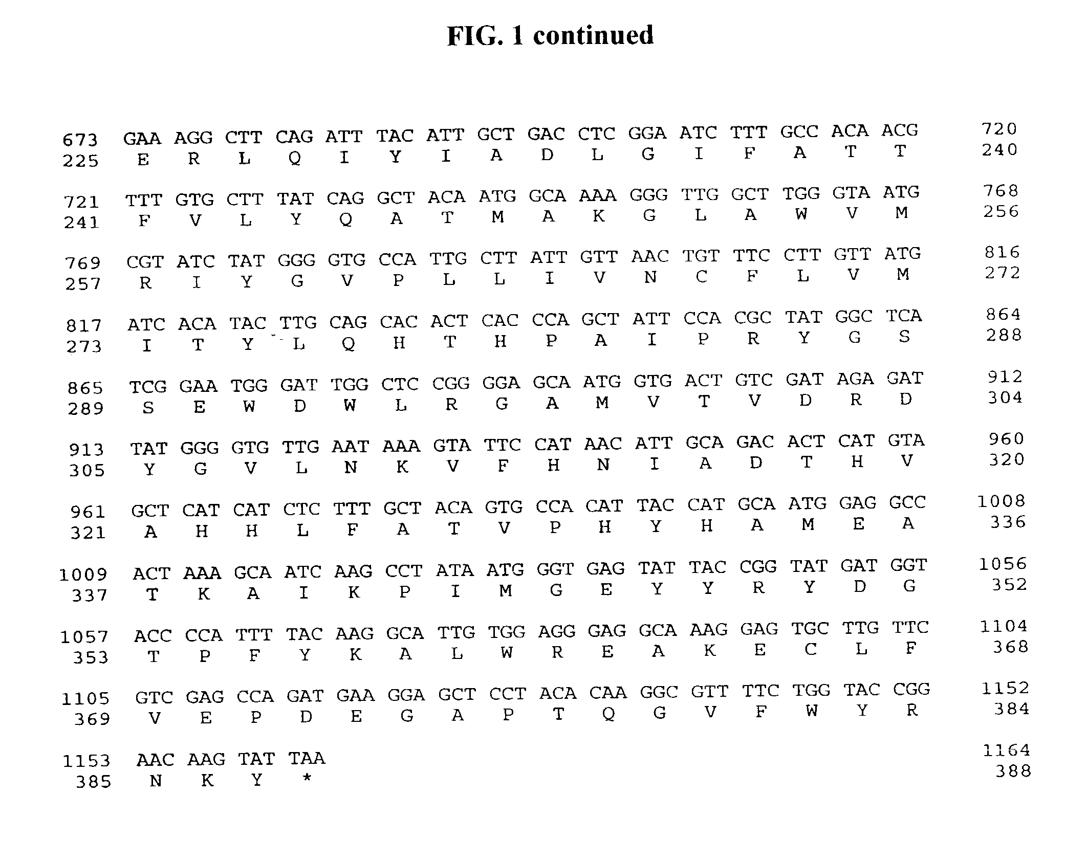 Isoform of castor oleate hydroxylase