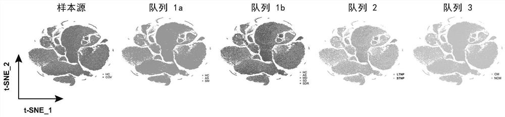 Identification of specific immune cell subtypes in new coronavirus infected peripheral blood and application of specific immune cell subtypes in new coronavirus infected peripheral blood