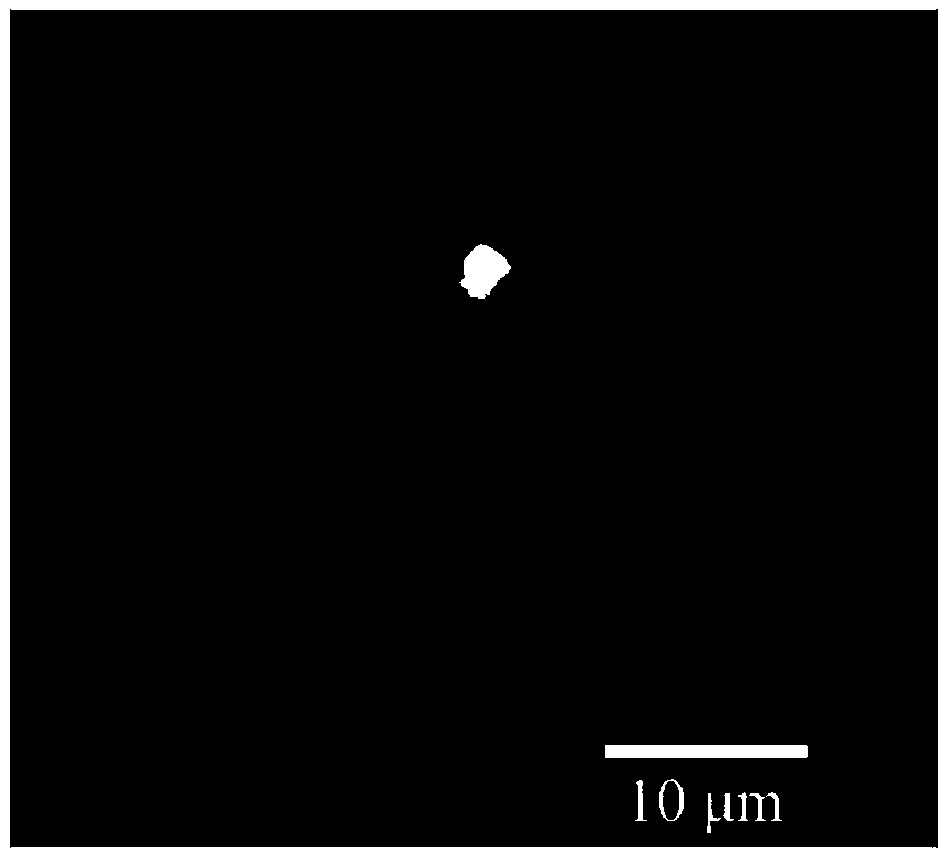 Method for screening tobacco black shank resistance non-homologous chromosome plant by molecular marker